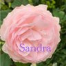 Фото профиля Sandra