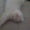 Profilbild von mimi