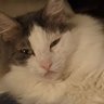 Mary (she/her)'s profile picture
