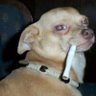 Justis Mosqueda 的头像