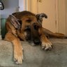 Jack profil fotoğrafı