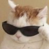 𝙼𝚒𝚝𝚜𝚞𝚊𝚍𝚒_𝟸𝟸's profile picture