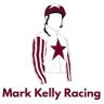 Mark Kelly Racing Syndicates's profile picture