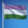 HereQueer's profile picture