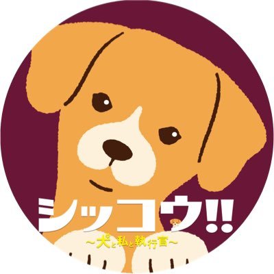 shikkou_tvasahi's profile picture