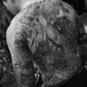 TattooedNYDad 的头像