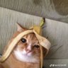 ImmaBlow's profile picture