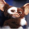 Profilbild von GIZMO@体質改善中