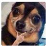 Roberto ANTI-Derecha 🤮's profile picture