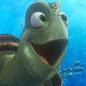 Speed Turtle's profile picture