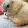 エムエムくん's profile picture