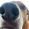 BeeeBoooPs profil fotoğrafı