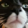 Profilbild von lilythen