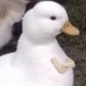 Kev's profile picture
