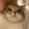 Tyler's profile picture