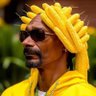Juan José's profile picture