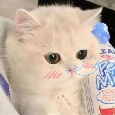 ส่งต่อ/รับซื้อ/ฝากขาย10฿เสื้อมือสอง งานเหมาแฟชั่น's profile picture