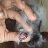 baxkdooryu's profile picture