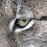 Eraka's profile picture