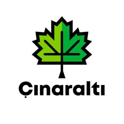 cinaraltindayiz's profile picture
