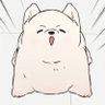 Kanita's profile picture