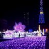 まこ 的头像