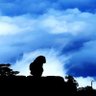 Profilbild von 锦绣山河