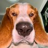 酸菜豆米 profil fotoğrafı
