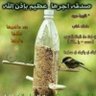 أبو عبدالعزيز الجهني profil fotoğrafı