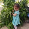 Betül Gündüz's profile picture