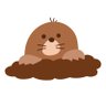 もぐら's profile picture