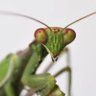 KINNARD ROGERS III profil fotoğrafı