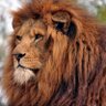 Profilbild von karam prince