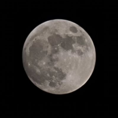 disney_coupl's profile picture