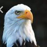 Mirha Malik's profile picture