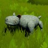DesignKoalas 的头像