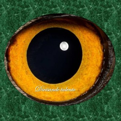 𝕆𝕛𝕠 𝕒𝕝 𝕕𝕒𝕥𝕠 ®️👀's profile picture