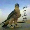 عبدالله 🇮🇶 القحطاني profil fotoğrafı