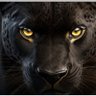 Rayshawn Coleman's profile picture