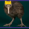 Profilbild von KiwiBirdKing3🇳🇿
