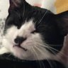 Profilbild von Jenny