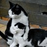 奔跑吧！兄弟 profil fotoğrafı