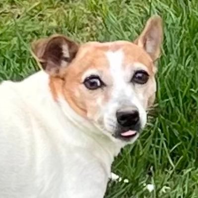 NikkiLicks_'s profile picture