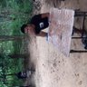 Profilbild von 谢志孝(စိုးသက္)