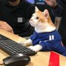 Profilbild von hyperpog