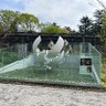 やっちゃん 的头像