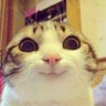 Meow maow. 的头像