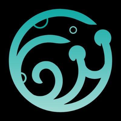 0xSnailMoon's profile picture