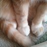 RandBmom profil fotoğrafı