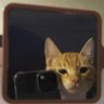 £2 profil fotoğrafı